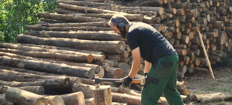 junger Mann hackt Holz