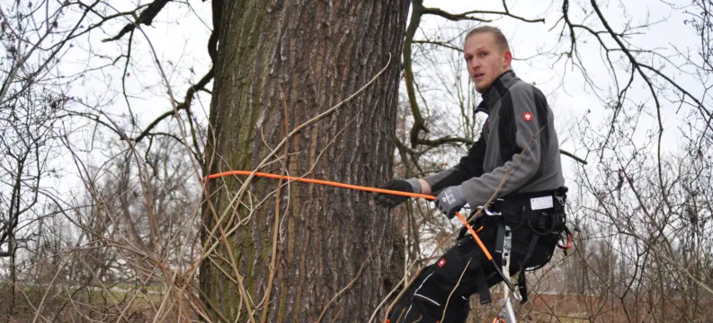 junger Mann hackt Holz