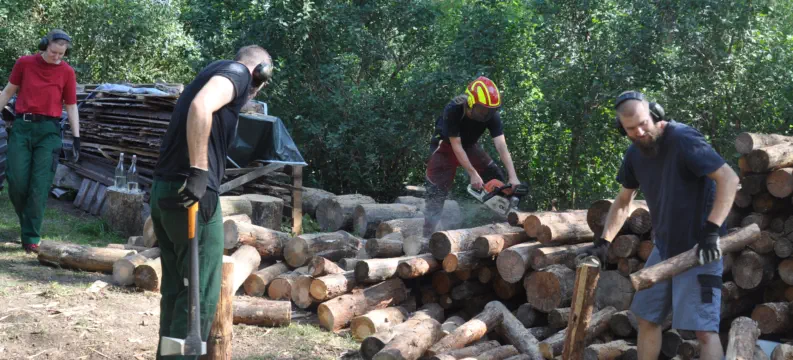 junger Mann hackt Holz